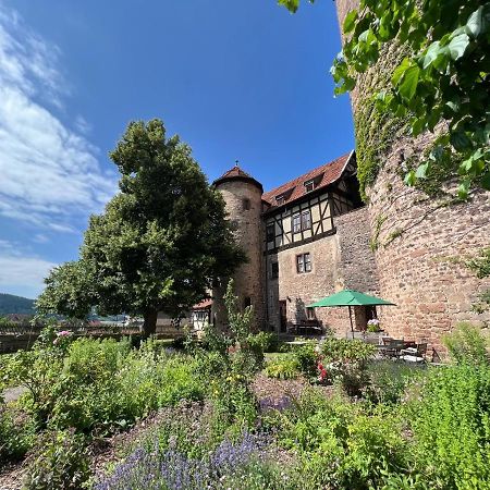 Alte Foersterei - Elegantes Apartment In Der Historischen Hinterburg Schlitz - Nahe Fulda Und Bad Hersfeld Esterno foto