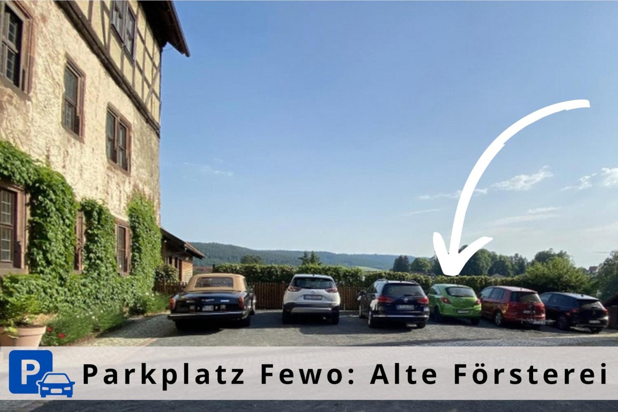 Alte Foersterei - Elegantes Apartment In Der Historischen Hinterburg Schlitz - Nahe Fulda Und Bad Hersfeld Esterno foto